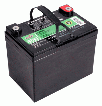 New Pair of Interstate 12V 35AH Deep Cycle Scooter Batteries (USA)