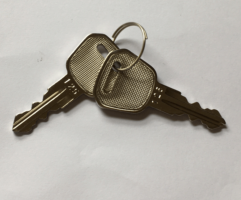New Pair of Replacement Keys For A Sterling S425 Mobility Scooter